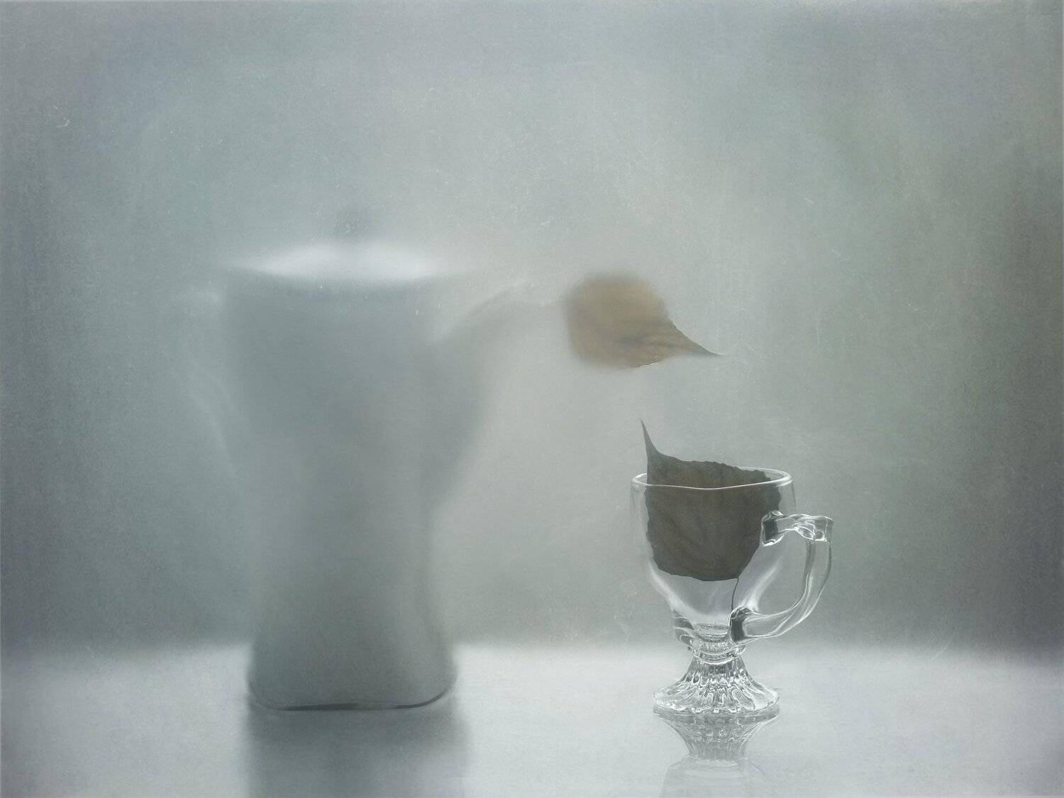 лист, посуда, два, натюрморт, Елена