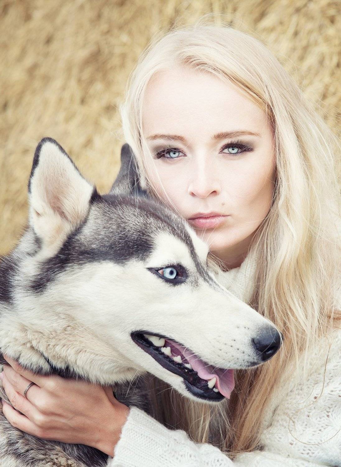 Бежевый, Глаза, Голубой, Голубые глаза, Двое, Девушка, Друг, Красивая, Красивая девушка, Красота, Лицо, Осень, Похожи, Сено, Собака, Солома, Хаски, Дарья Комарова