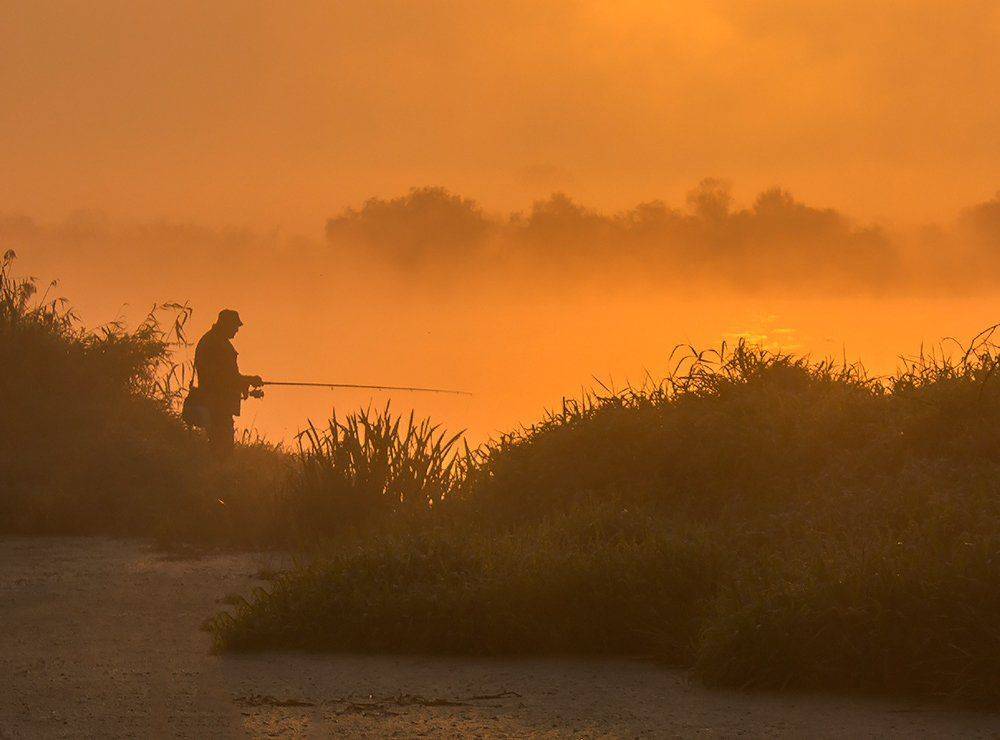 , Pawel Plucinski
