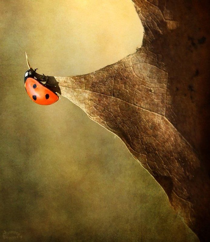 O samotności фото превью