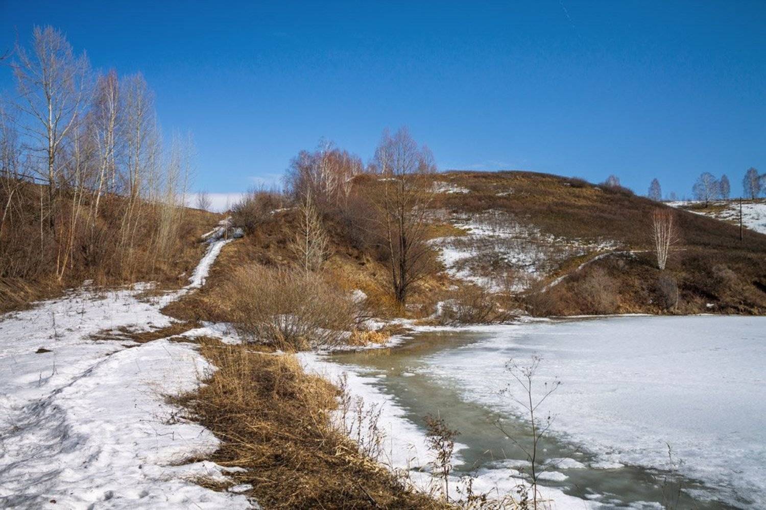 Пейзаж, Курочкина Диана