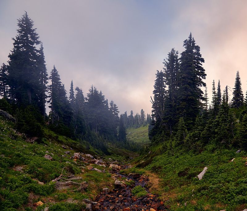 Горы, Туман, Утро Про тишину фото превью