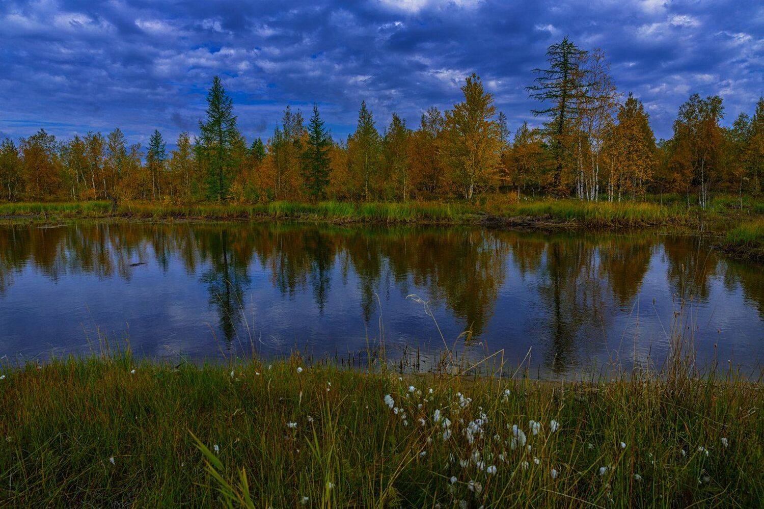 , Евгений Кужилев