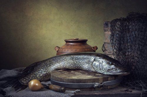 Натюрморт со щукой