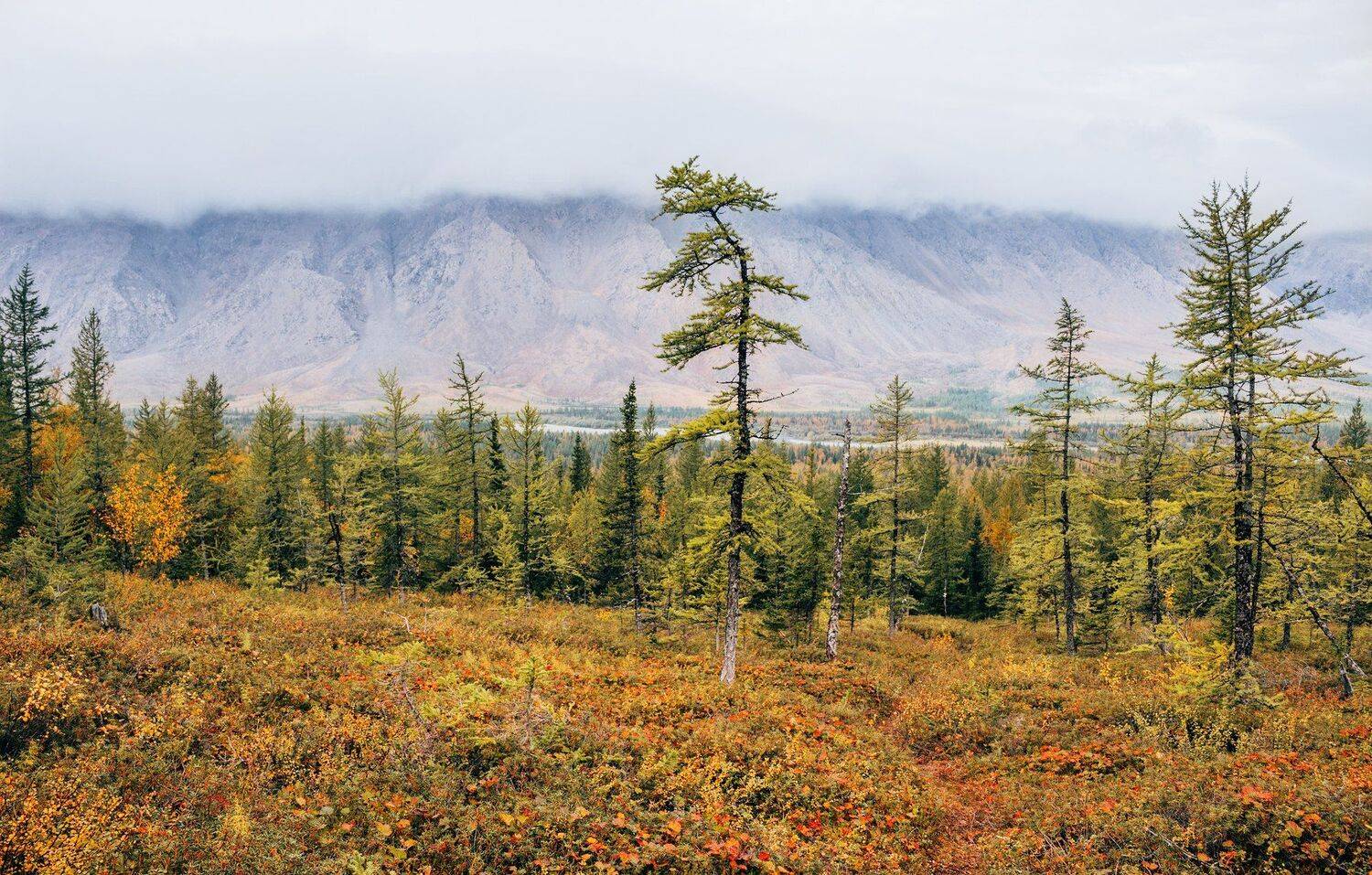 Горный пейзаж, Горныймассив, Осень, Полярный круг, Полярныйурал, Рай-из, Собь, Ямал, Настя Братка