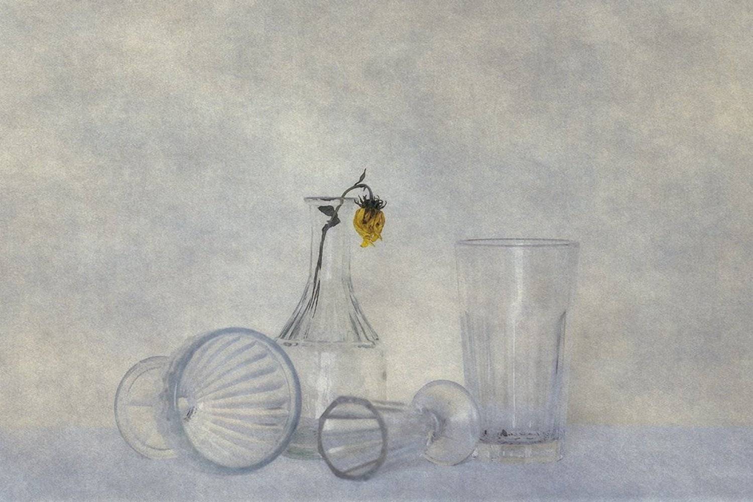 Flower, Glass, Anna