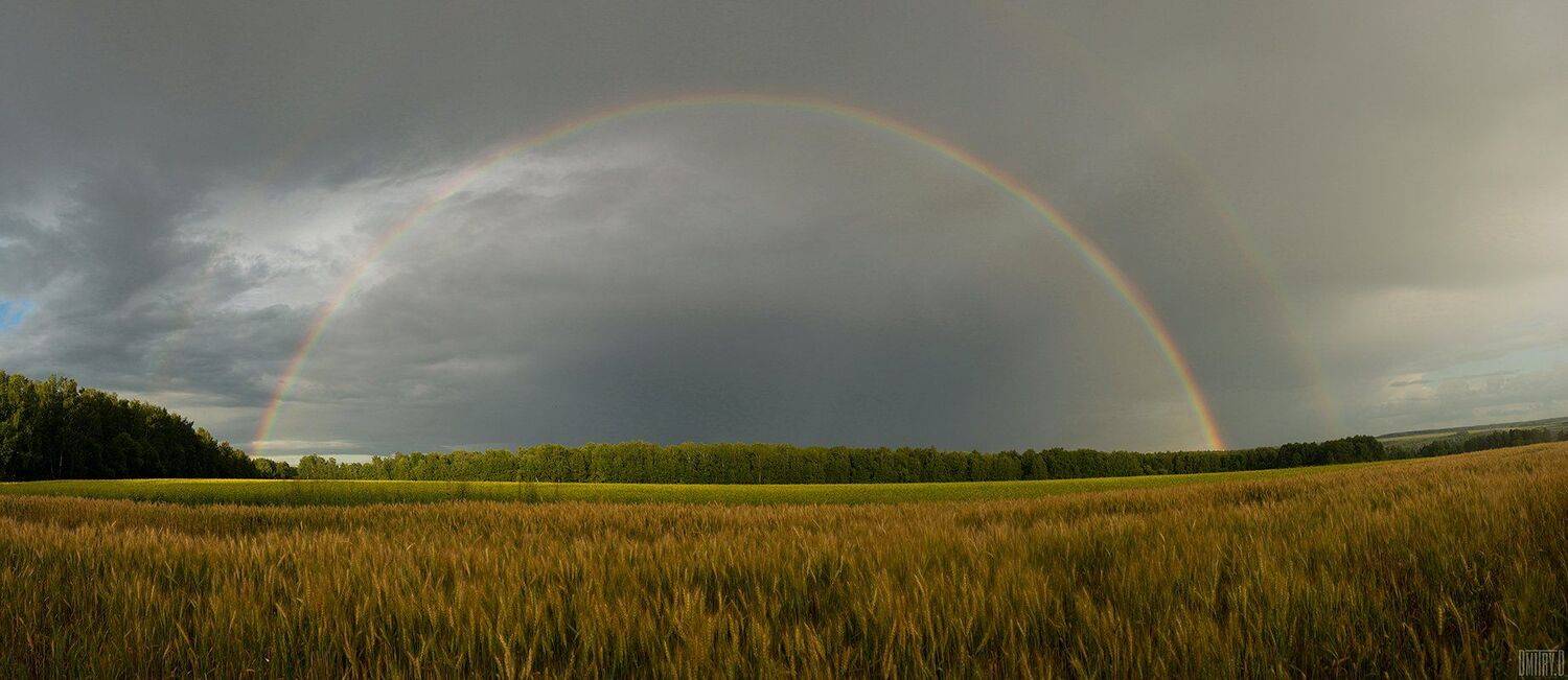 , Дмитрий Доронин