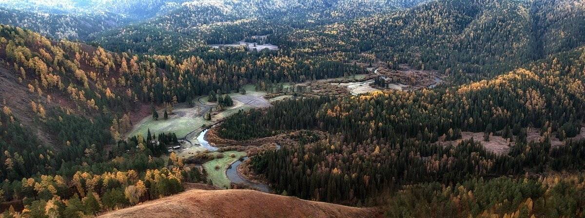 , Марина Фомина