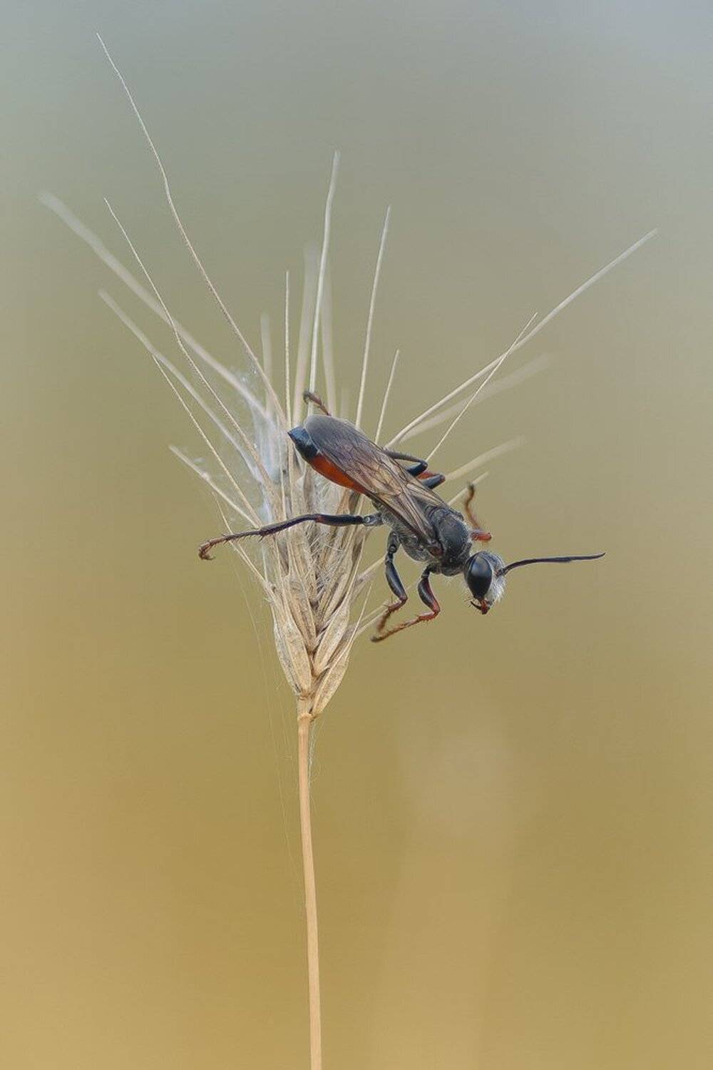 , Кузнецов Дмитрий
