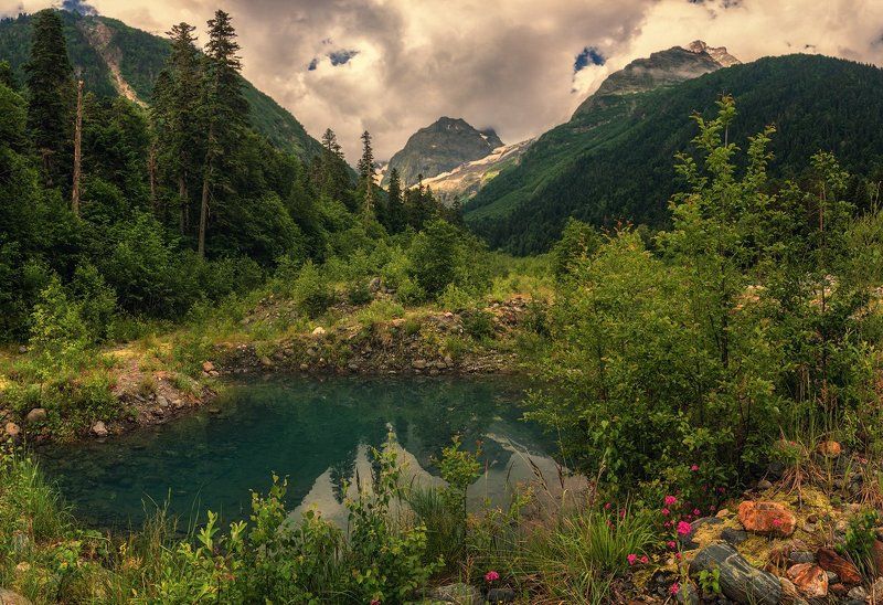 Лето в Домбае фото превью