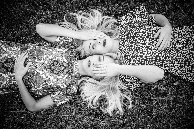 swallows in the sky фото превью