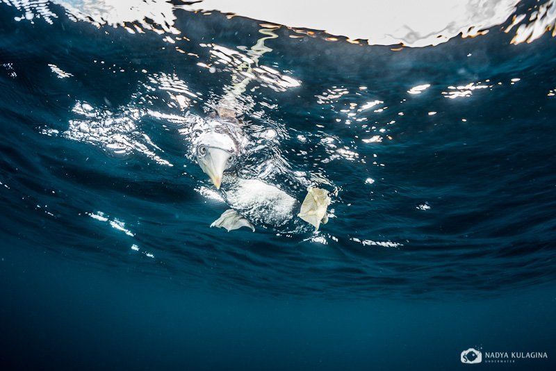 What\'s up, dude? фото превью