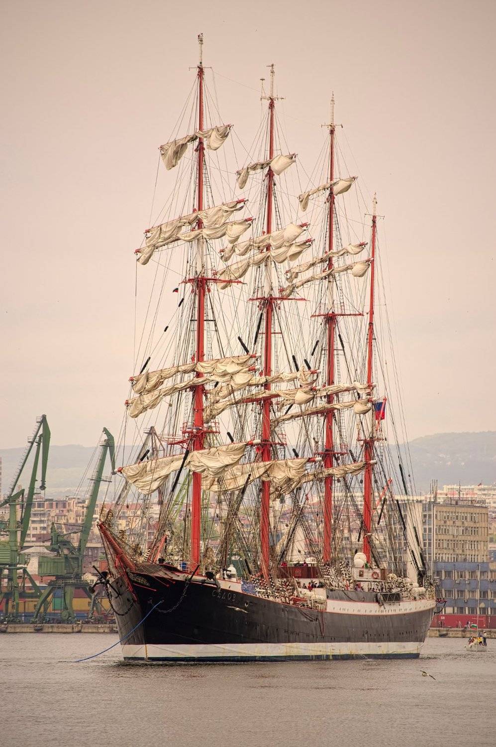 , Мартин Костадинов