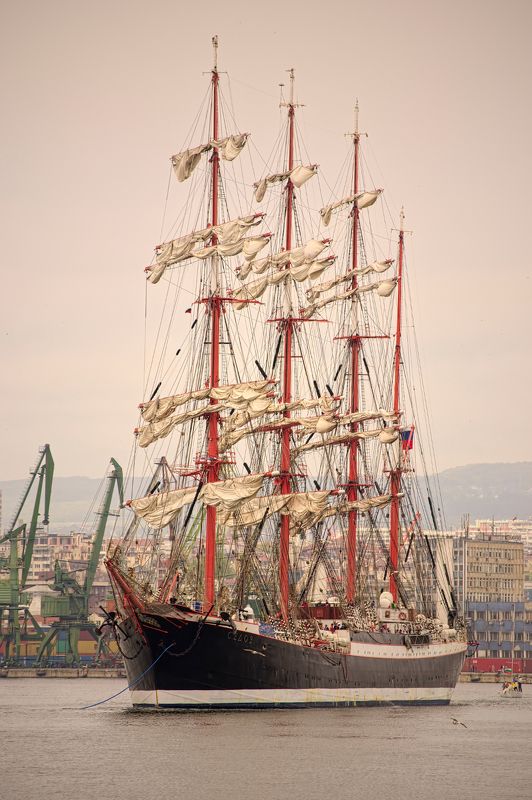 Седов фото превью