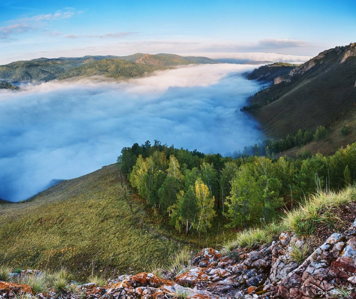 , Лена Стогова