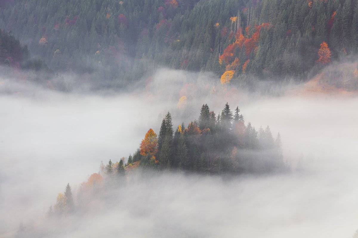 Горы, Карпаты, Осень, Рассвет, Туман, Антон Петрусь