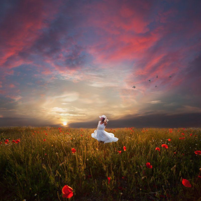 Colorful, Conceptual, Landscape The Last Summer Rays фото превью