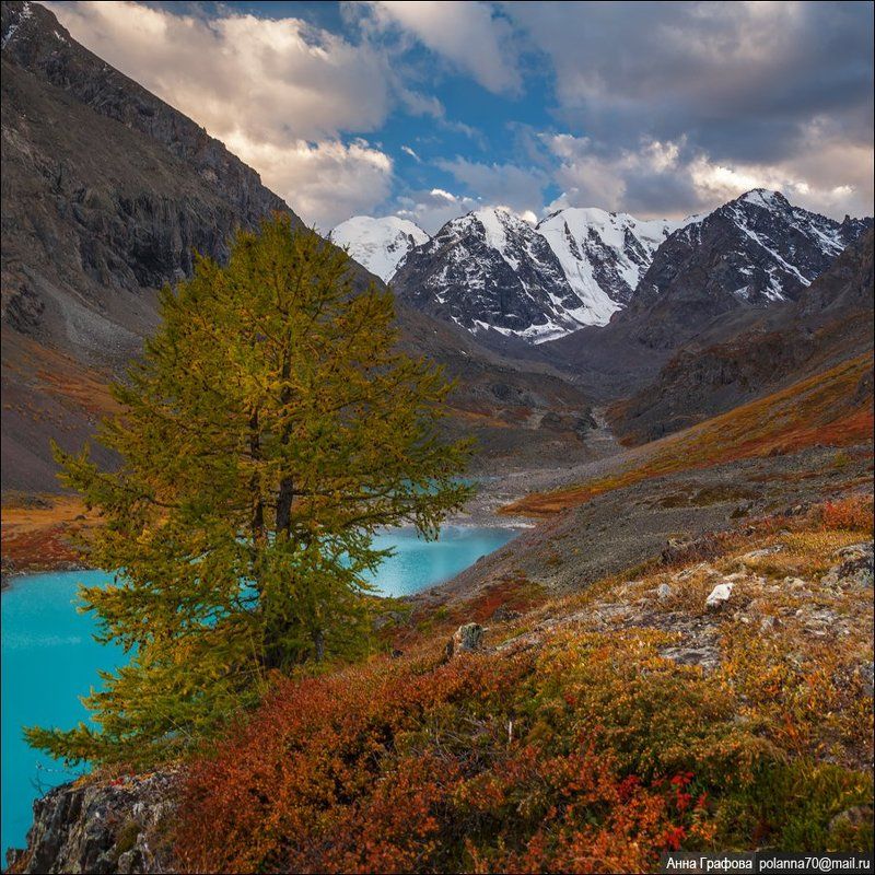 алтай, аня графова, горный алтай, горы, каракабак, озёра, северо-чуйский хребет Вечерние Каракабакские квадраты ... фото превью