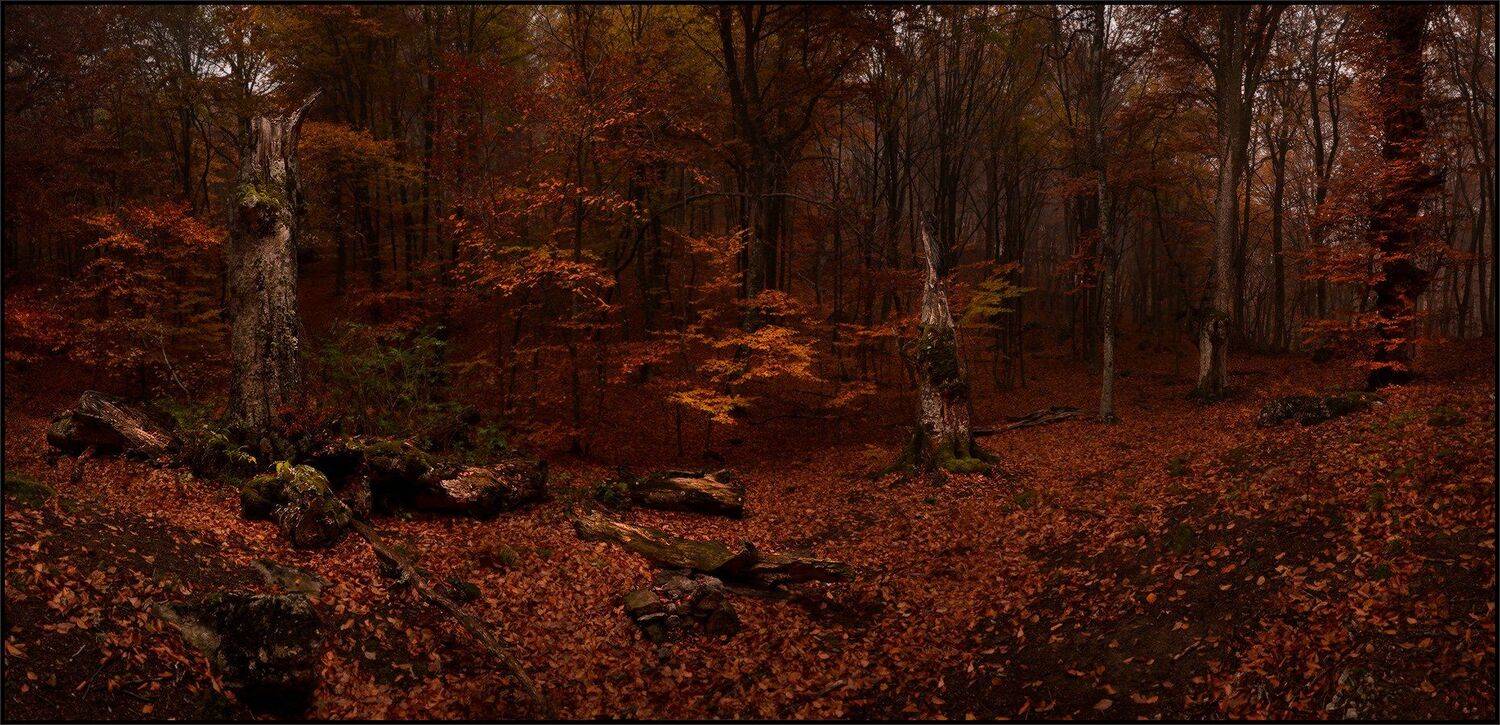 , Владимир Метцгер