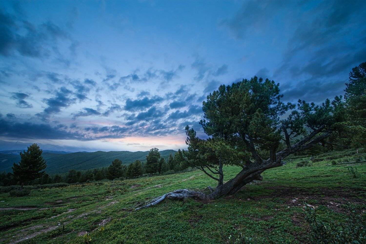 , Станислав Аристов