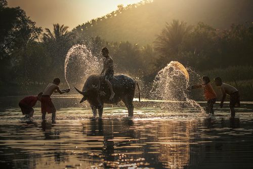 Children shower Buffalo .
