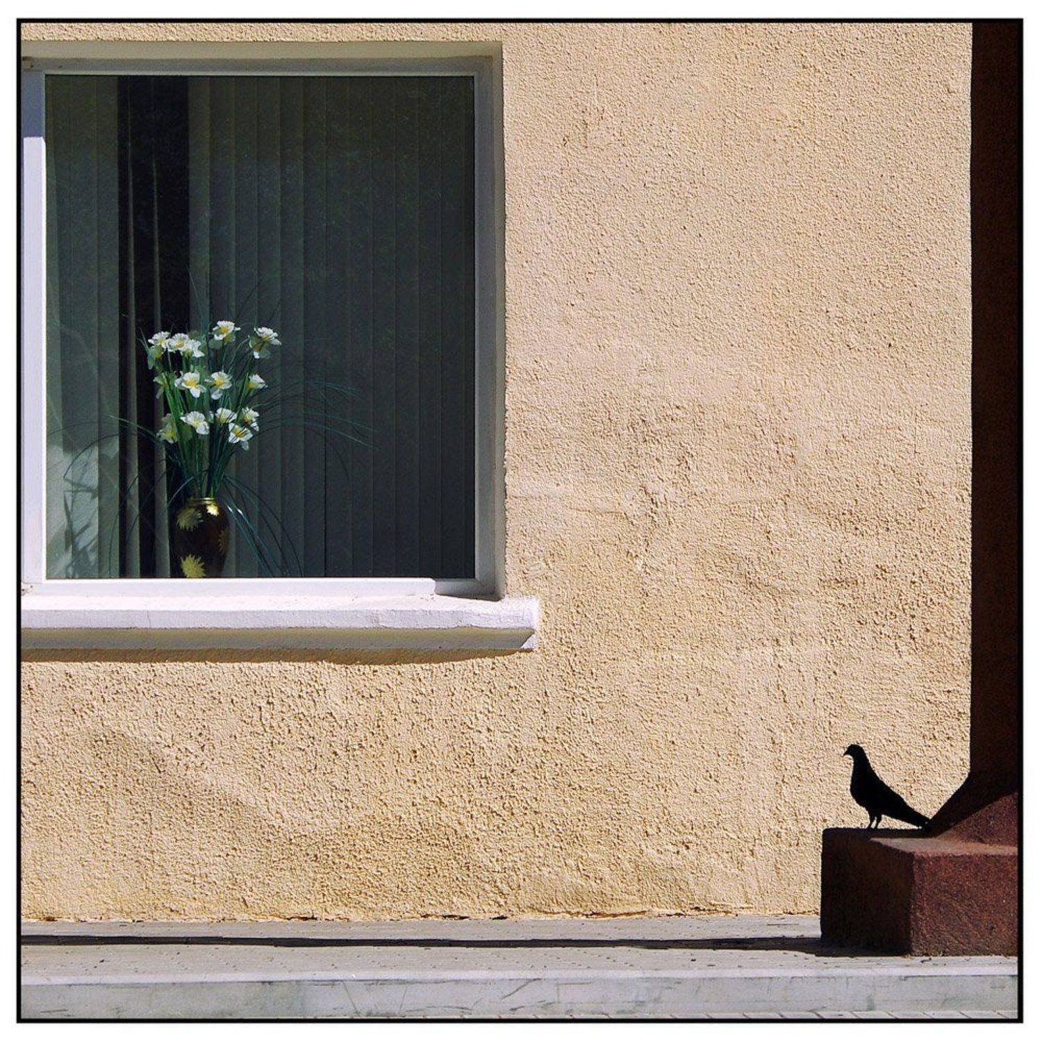 , Сидоренко Алексей