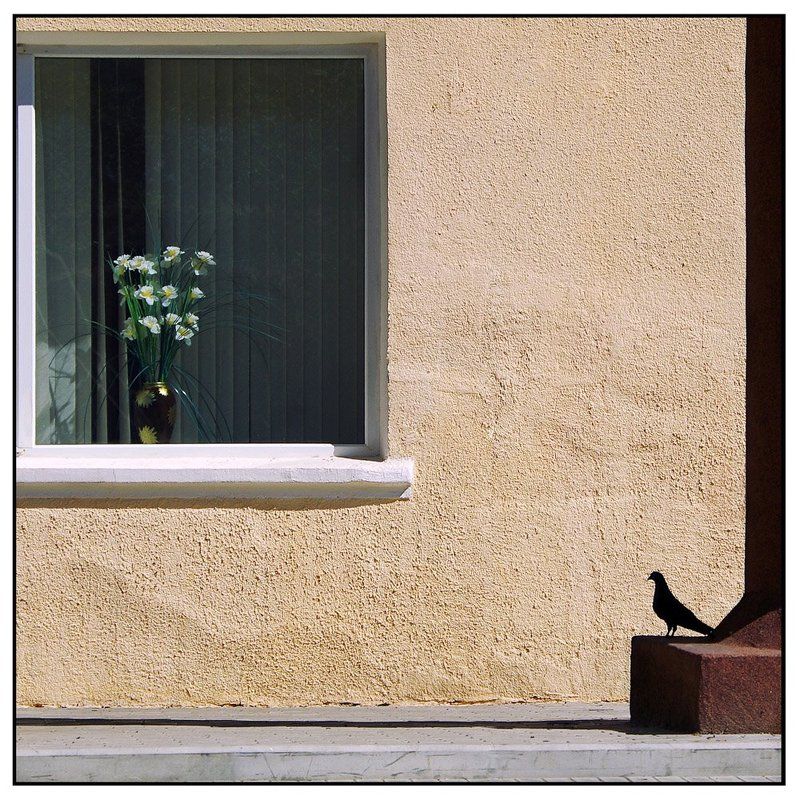 Прогулка в конце лета фото превью