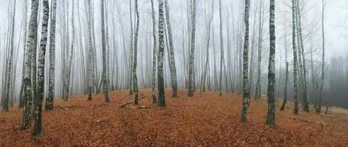 Русский пейзаж )