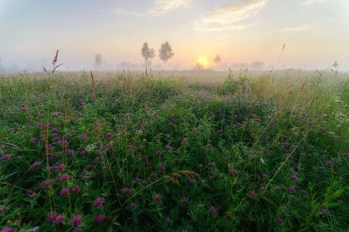 Из июльского...