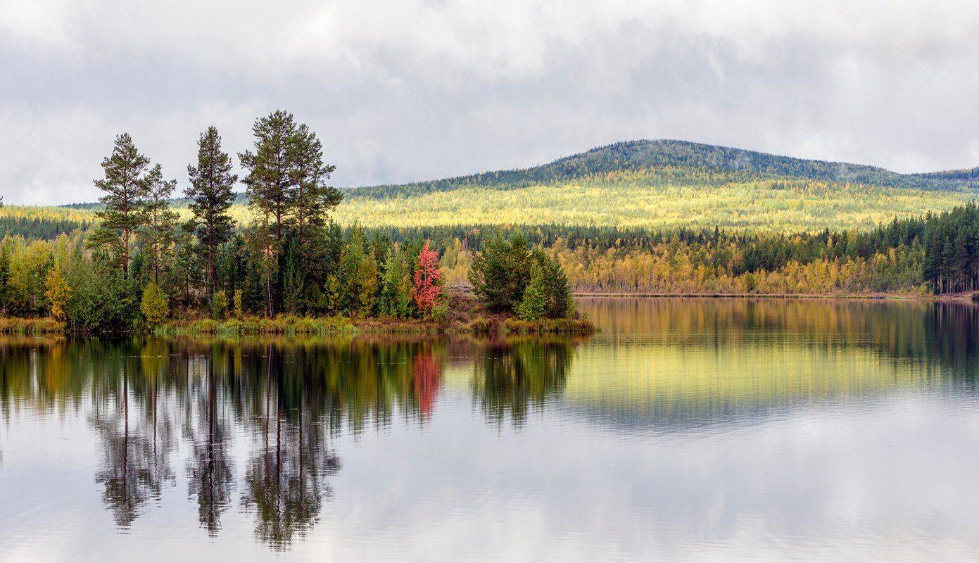, Воинков Виктор