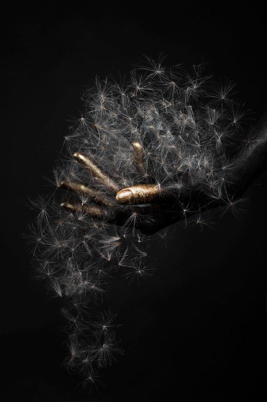 International Floral Art 2016-2017 фото превью