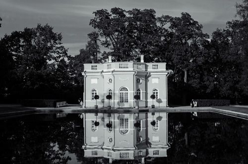 Жизнь у дома