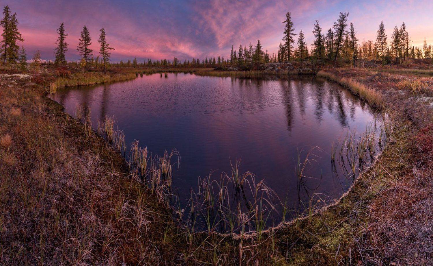 озеро, вечер, закат, сибирь, янао, природа, арктика, пейзаж, север, красота, Андрей Снегирёв