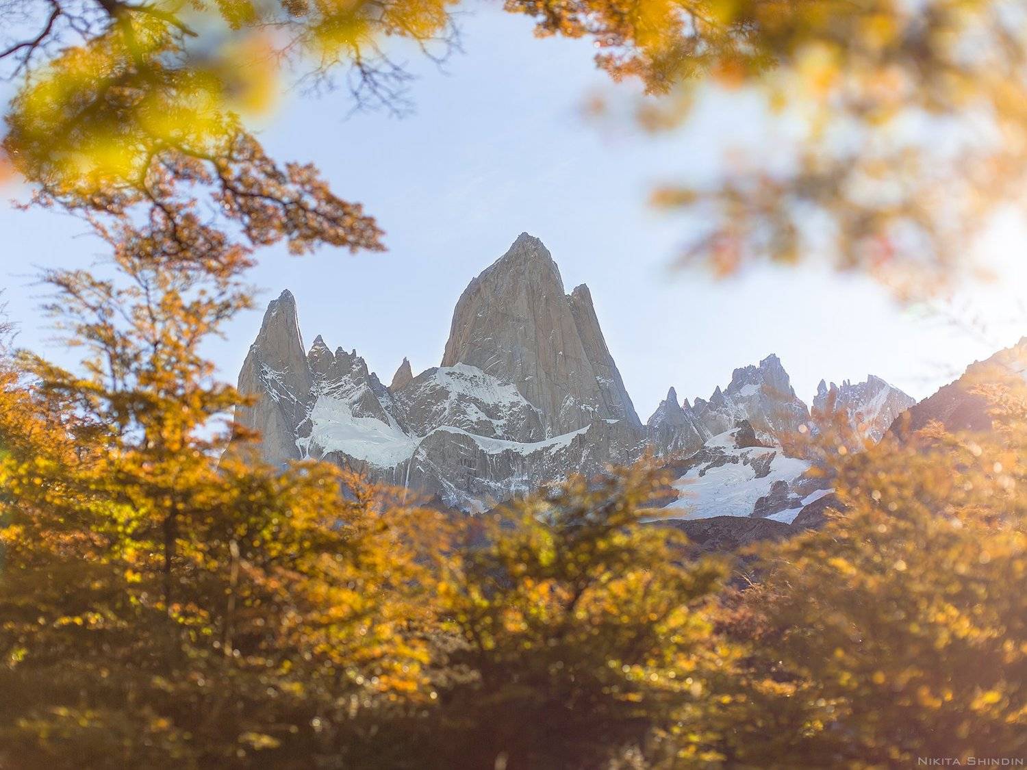 , Никита Шиндин