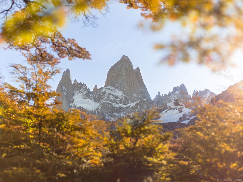 Фицрой в золотом ажуре фото превью
