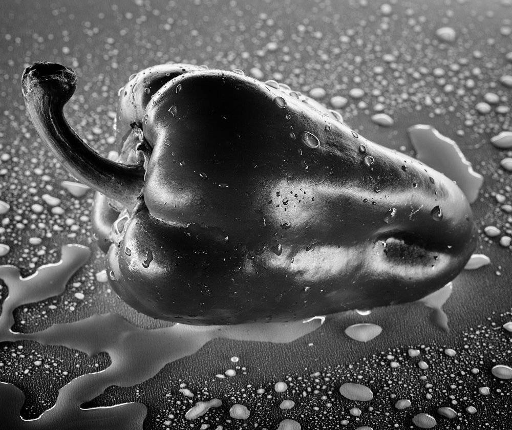 , Франгони Владимир