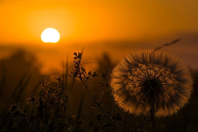 Закат фото превью