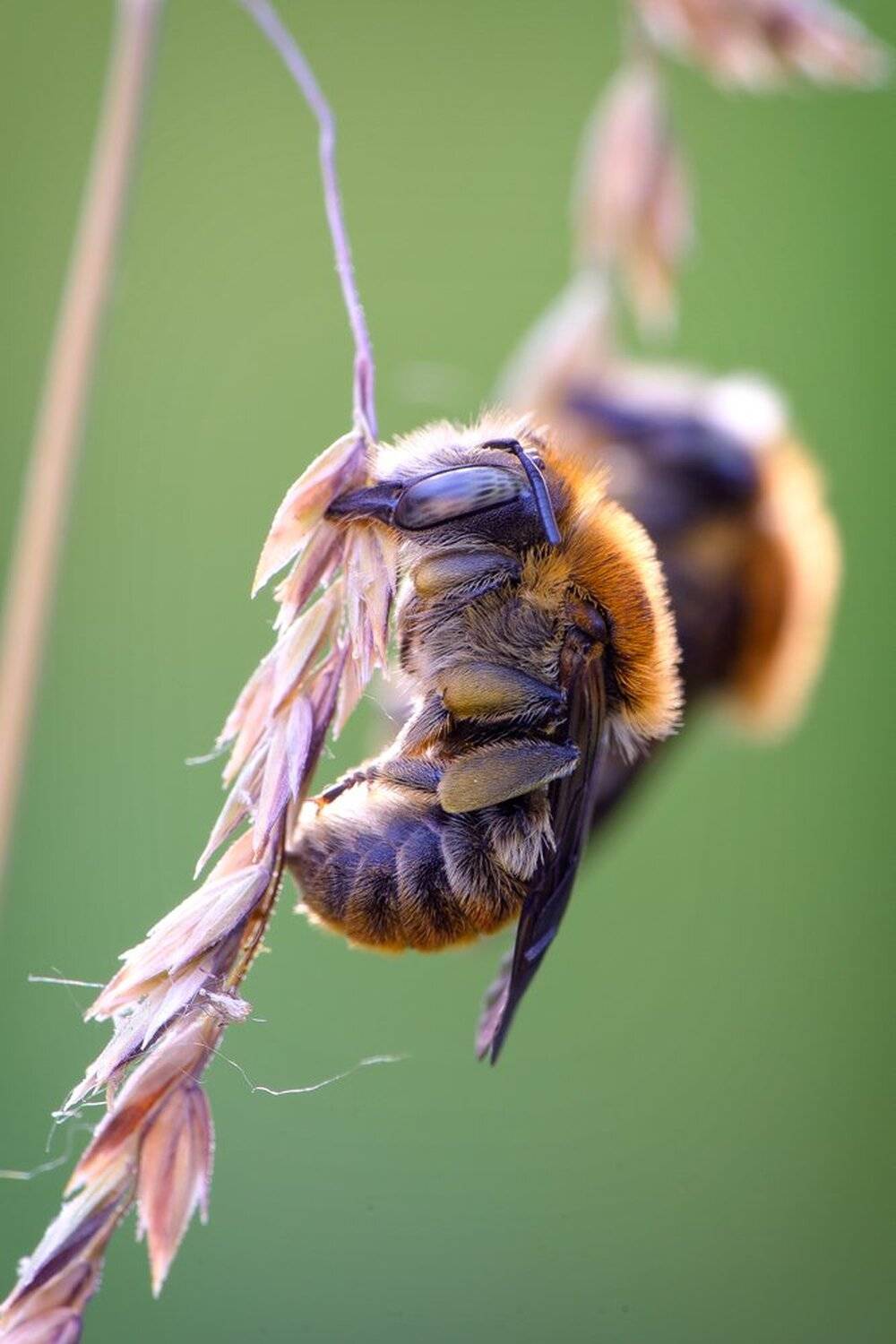 , Кузнецов Дмитрий
