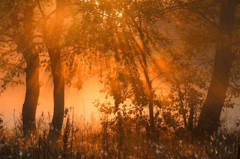 ***** фото превью