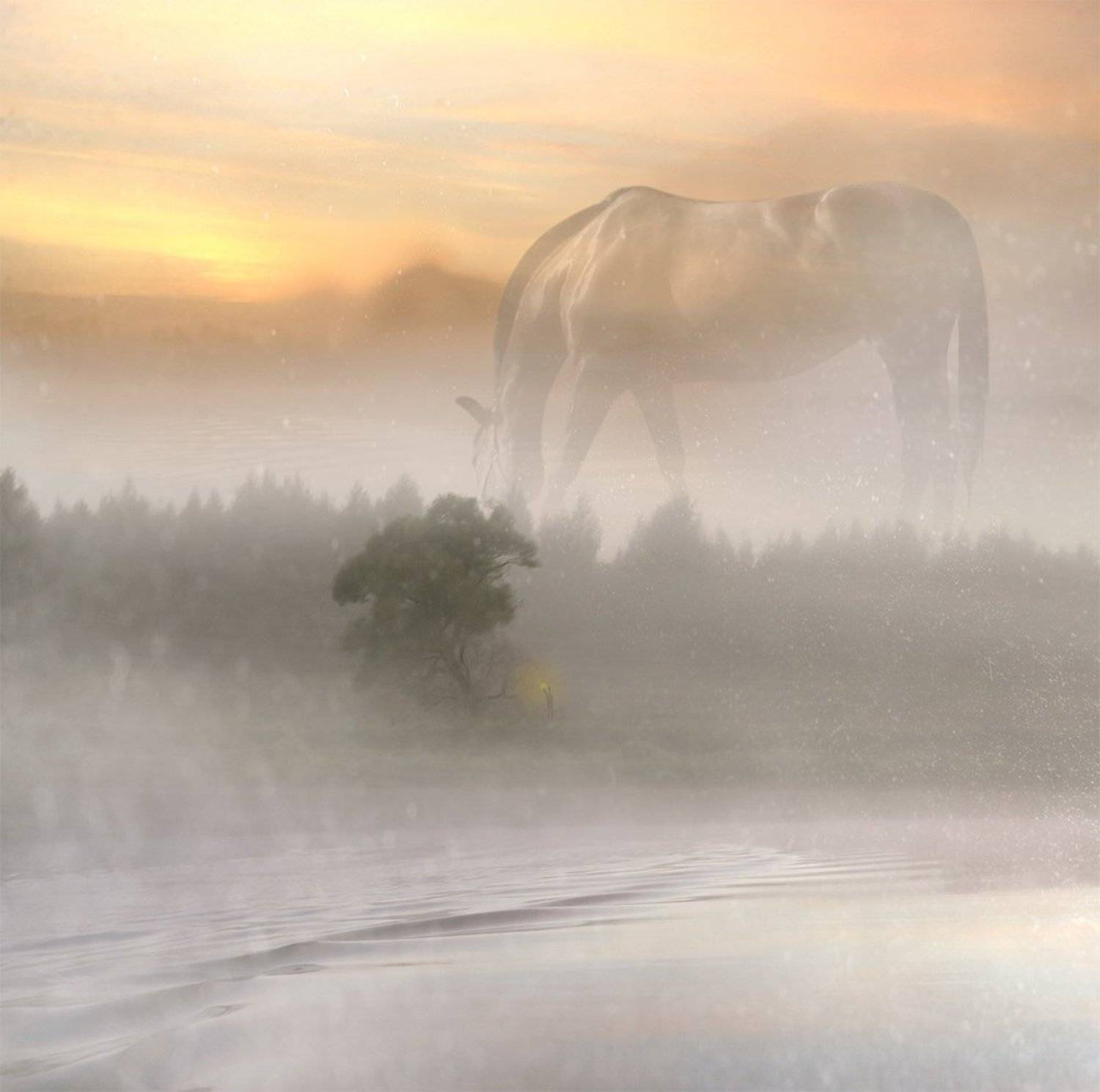 , Виктор Поздняк