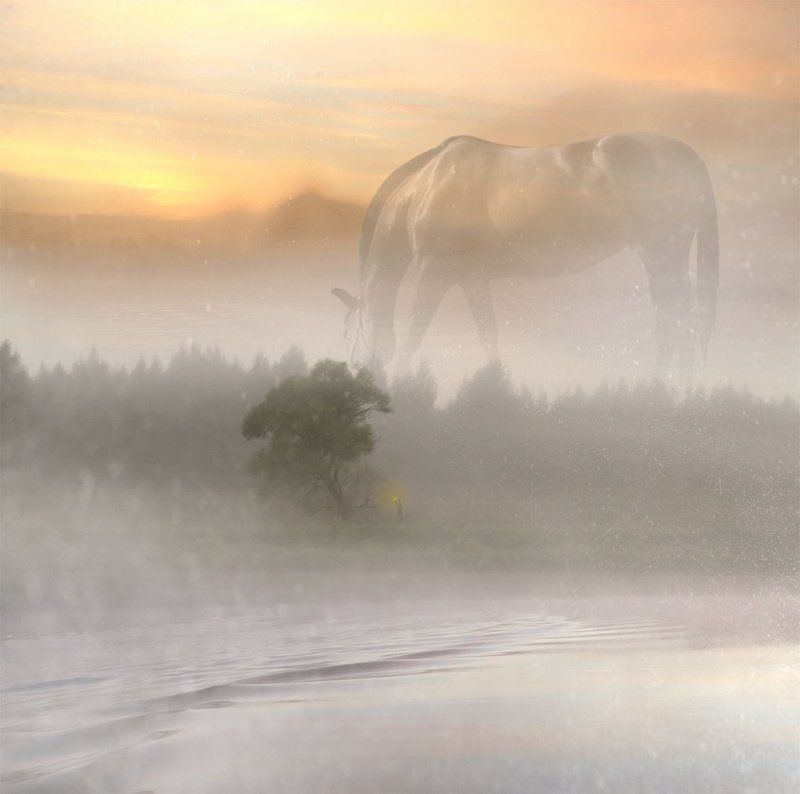 Тропами Норштейна... фото превью