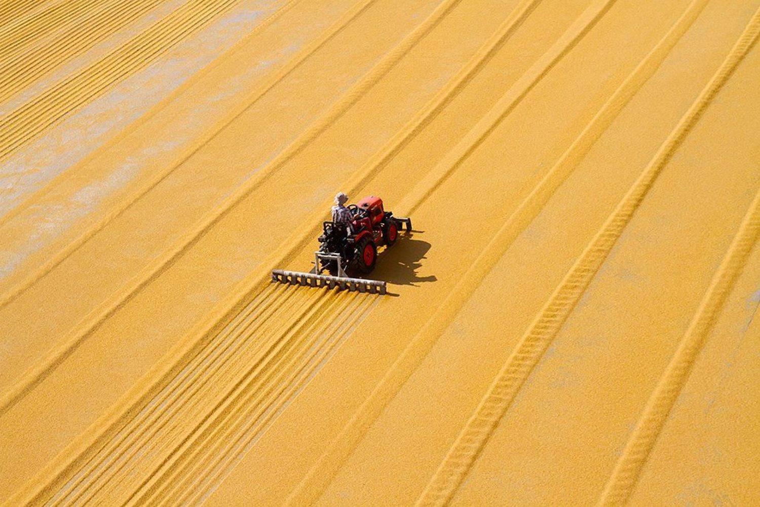people,travel,farming, mehmet