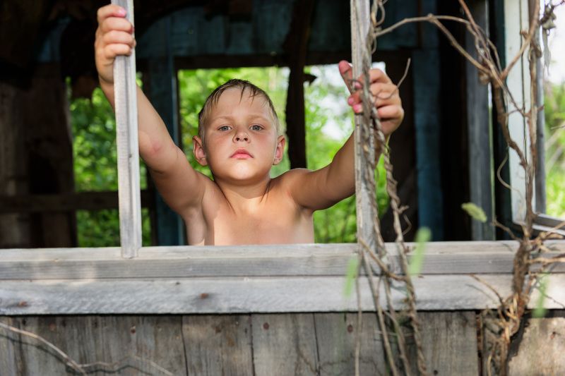 В гостях у лешего фото превью