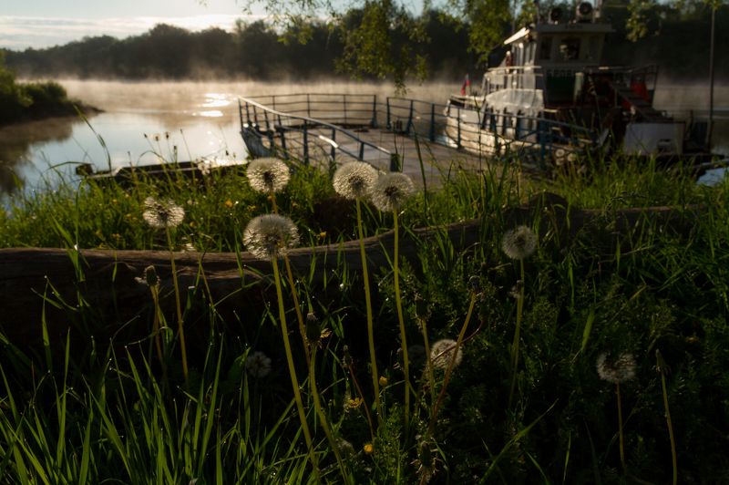 Встречающим рассвет фото превью