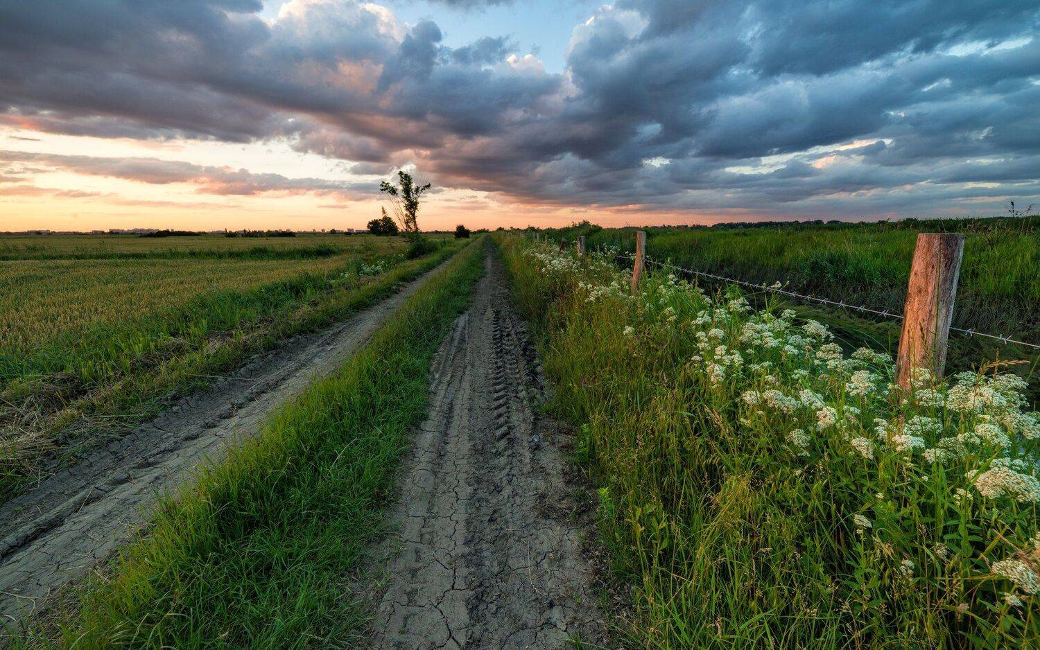 закат, Alexander Plekhanov