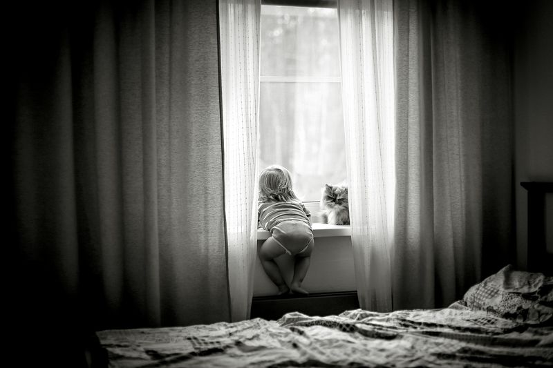 дождливое лето фото превью