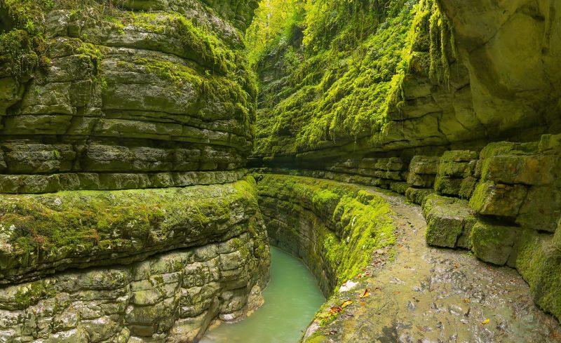 абхазия, гагра, хашупсе, хашупсинский каньон, природа, пейзаж Хашупсинский каньон, Абхазия фото превью