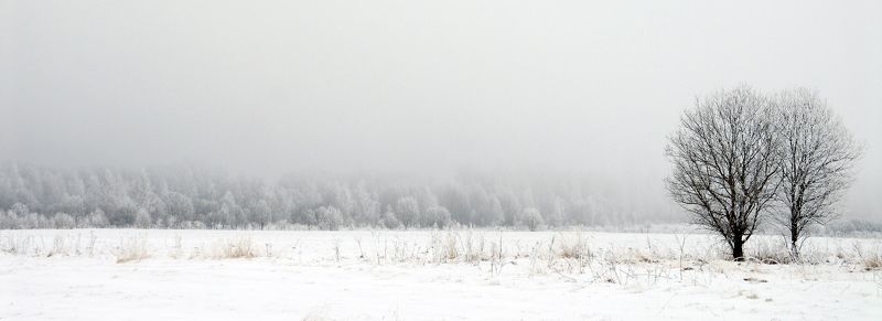 Lost in the snow фото превью
