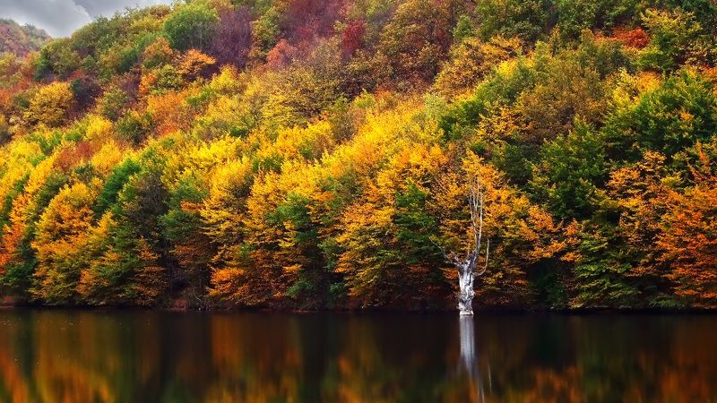 Крымская осень фото превью