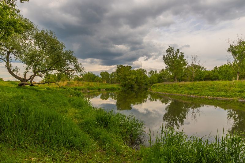 Тишина перед грозой... фото превью